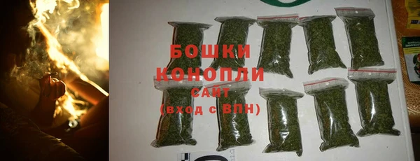 эйфоретик Баксан