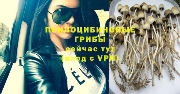 эйфоретик Баксан