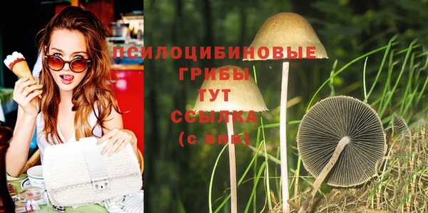 кристаллы Инта